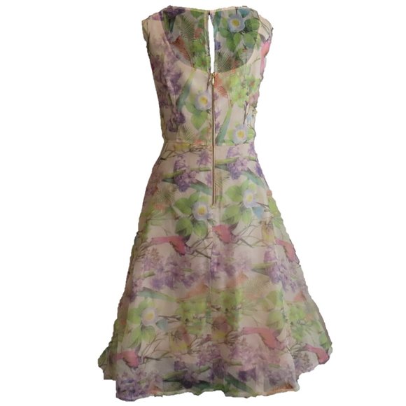 EUC Hummingbird Tea Party Dress Fit & Flare - Dress Barn (US 16) ❧ - Picture 5 of 8